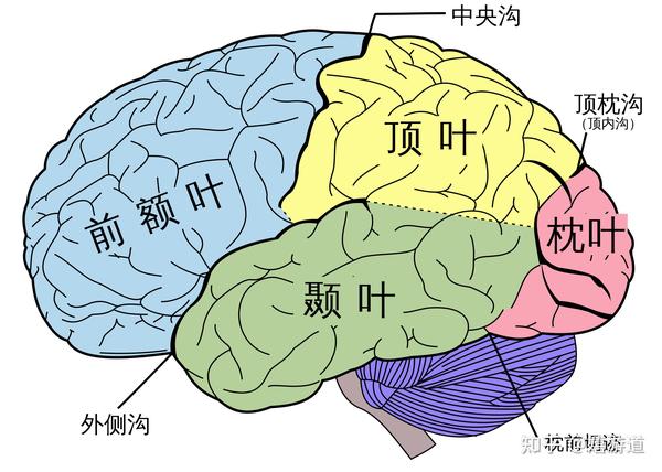 RTOS的调试与性能优化方法 (rtos的调)